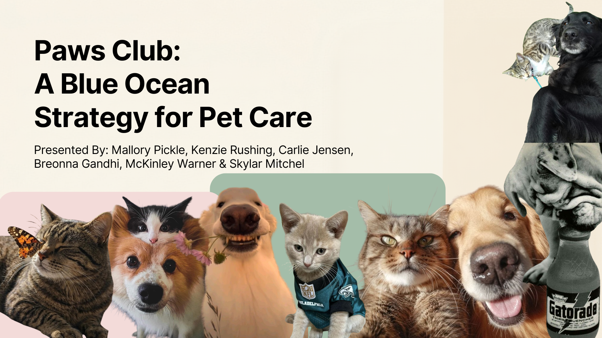 Paw's Club presentation cover slide